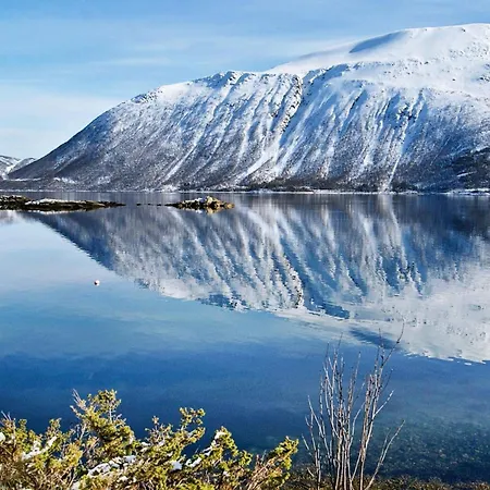 11 Person In Gullesfjord بيت للعطل *